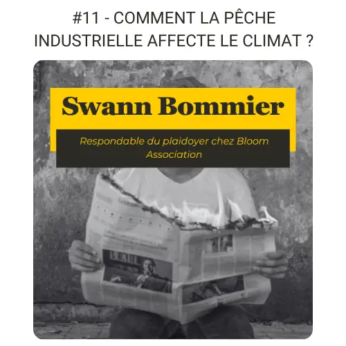 petit visuel podcast climat Swann bommier