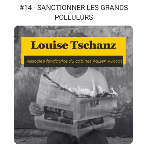 petit visuel sanction grands pollueurs